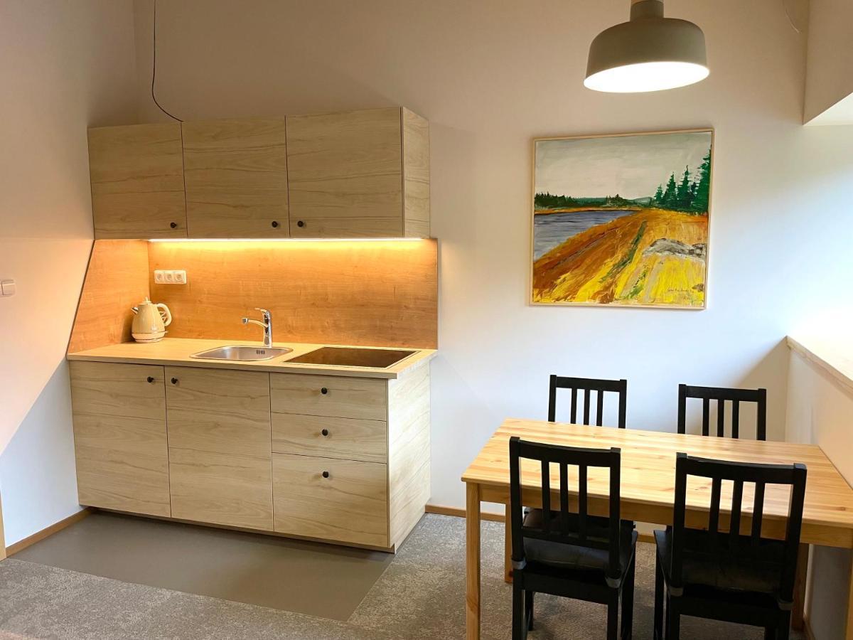 Apartmany V Lese Бедржихов Екстер'єр фото