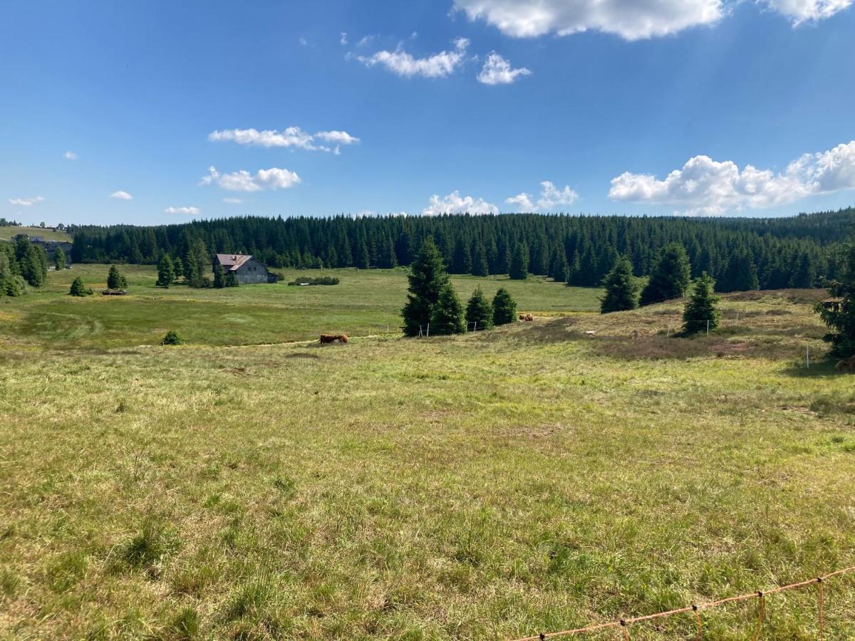 Apartmany V Lese Бедржихов Екстер'єр фото