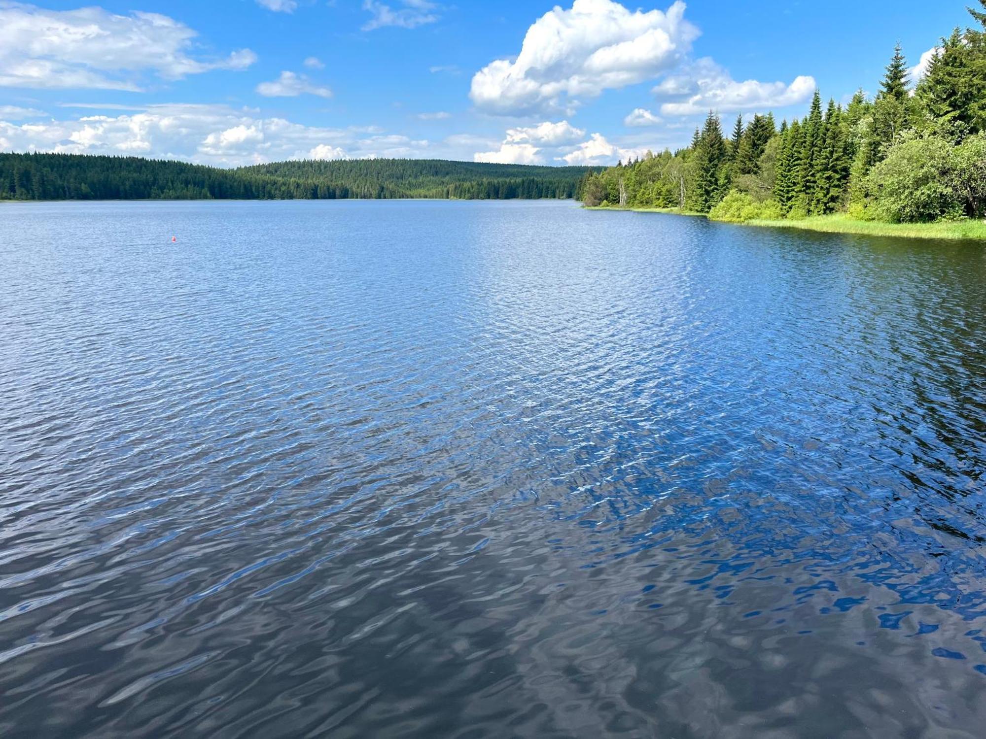 Apartmany V Lese Бедржихов Екстер'єр фото